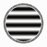 Figure 12c: Illustration showing a circle made of a white-noise outline filled with a coarse horizontal grating.