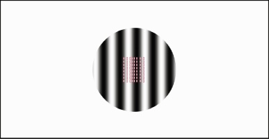 Figure 3a: Illutration showing the tactile display as a matrix of 8 by 8 red square over a circle filled with a grating texture.