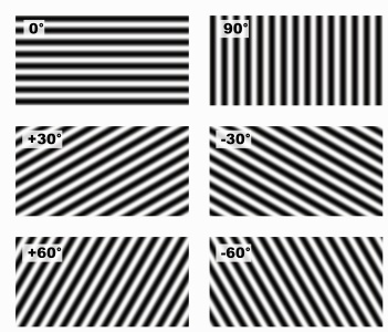 Figure 8a: Illustration of the grating texture at 6 different orientations.