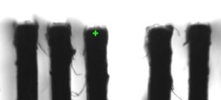 Figure 5a (top): Picture showing the tip of 5 actuators, with the middle actuator leaning towards the left.